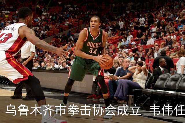 乌鲁木齐市拳击协会成立 韦伟任会长